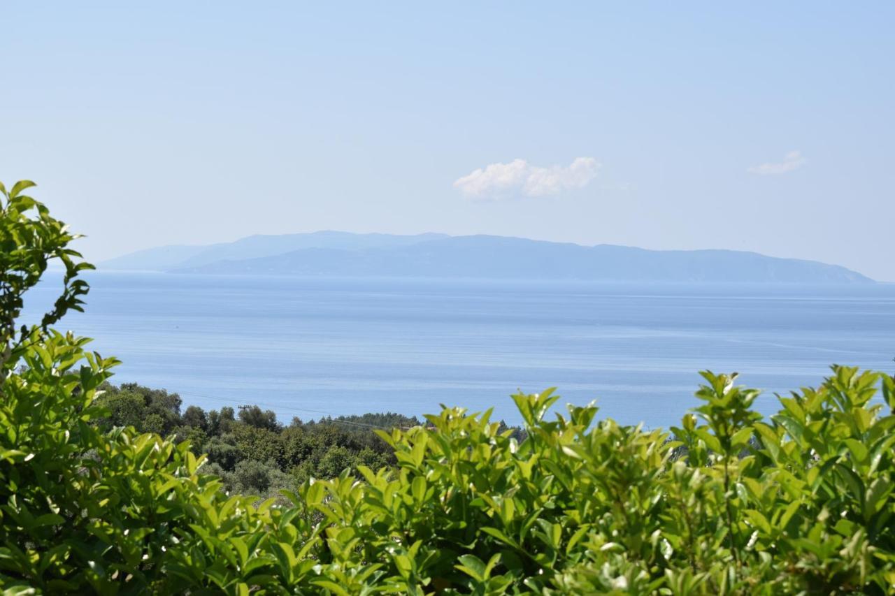 Diana Suites Τραπεζάκι Εξωτερικό φωτογραφία